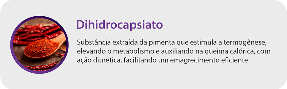 ingredientes-formula-dihidrocapsiato